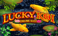 Lucky Koi